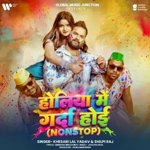Holiya Me Garda Hoi (Nonstop) image