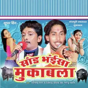Saandh Bhaisa Muqabla image
