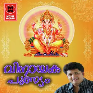Vinayaka Punnyam image