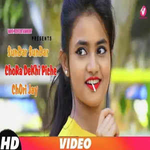 Bhataru Ke Sut Jaye Da Dj Vimal