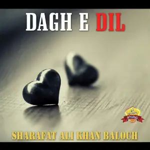 Dagh E Dil image