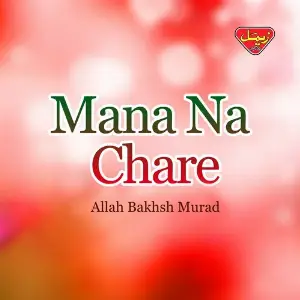 Mana Na Chare image