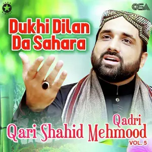 Dukhi Dilan Da Sahara, Vol. 5 image