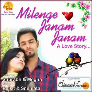 Milenge Janam Janam image