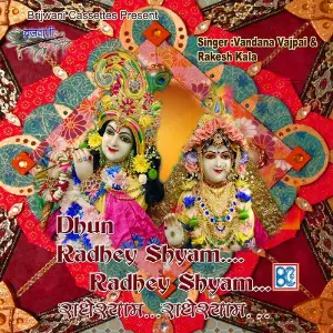 Radhey Shyam Radhey Shyam image
