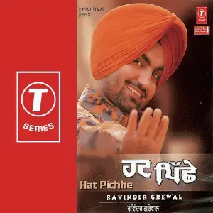 Hat Pichhe image
