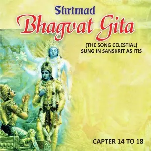 Shrimad Bhagvat Gita, Vol. 14. 15. 16. 17  18 image
