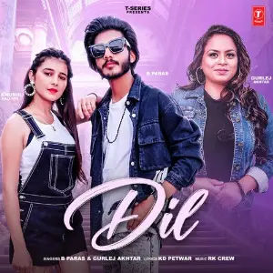 Dil image