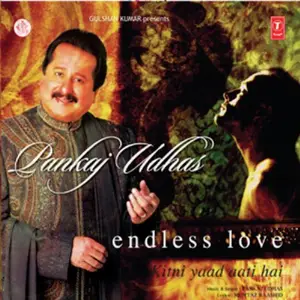 Endless Love (Kitni Yaad Aati Hai) image