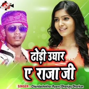 Dhori Ughar A Raja Ji image