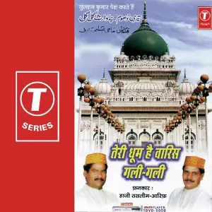Teri Dhoom Hai Waris Gali Gali image