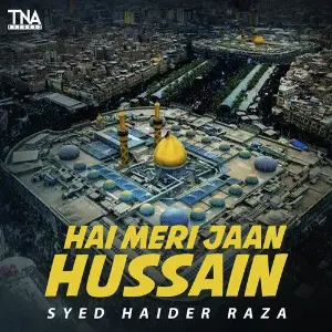 Hai Meri Jaan Hussain - Single image