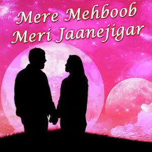 Mere Mehboob Meri Jaanejigar Various Artists