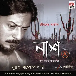 Naash image