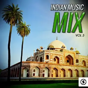 Indian Music Mix, Vol. 5 image