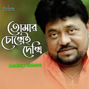 Tomar Cokhei Dekhi image