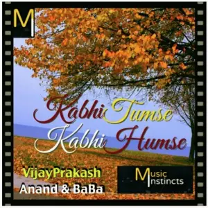 Kabhi Tumse Kabhi Humse image
