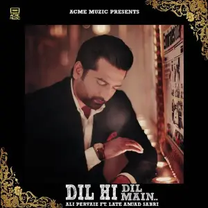Hridayanjali Ali Pervaiz, Late Amjad Sabri