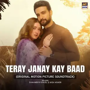 Teray Janay Kay Baad (Original Motion Picture Soundtrack) image