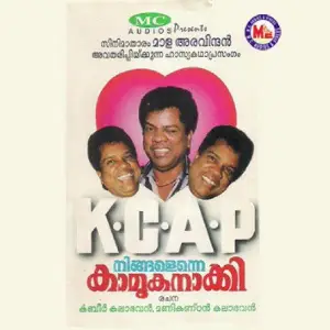 Ningalenne Kamukanakky image