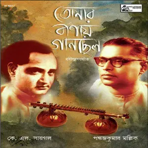 Tomaar Binay Gaan Chhilo image