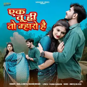Ek Tu Hi Toh Mharo Hain image