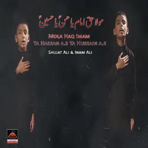 Mola Haq Imam Ya Hassan a.s Ya Hussain a.s image