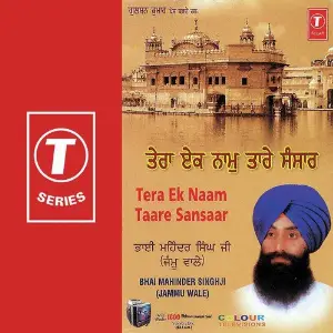 Tera Ek Naam Taare Sansaar image
