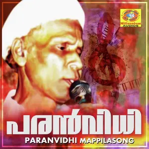Paranvidhi Mappila Song image