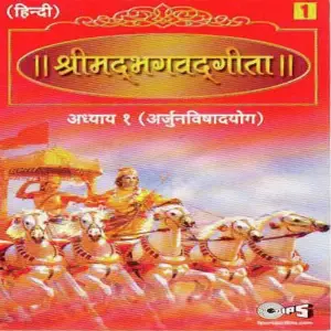 Shrimad Bhagwat Geeta Sanskrit Shloks (Vol. 1) image