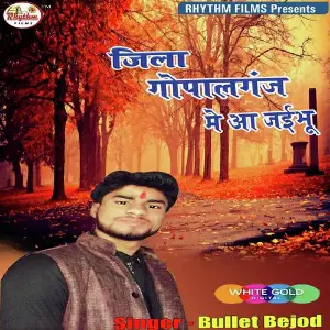 Jila GopalGanj Me Aa JaiBhu image
