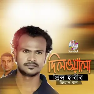 Dilwala image