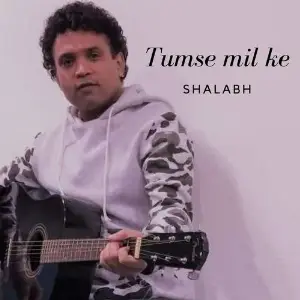 Tumse Mil Ke - Single image