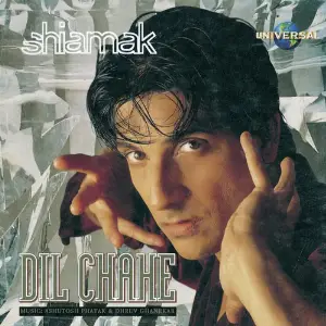 Dil Chahe image