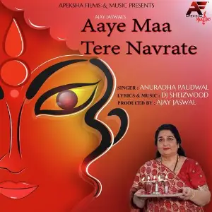 Aaye Maa Tere Navrate image
