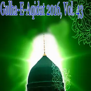 Gulha-e-Aqidat 2016, Vol. 43 image