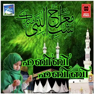 Habibi Habibi image