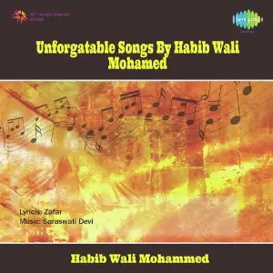 Unforgattable Songs By Habib Wali Mohamed image