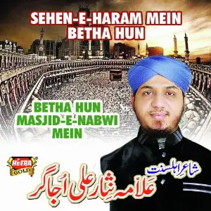 Sehen E Haram Main Betha Hun image