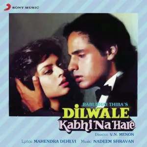Dilwale Kabhi Na Hare image