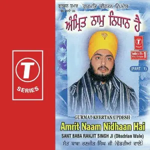 Amrit Naam Nidhaan Hai (Part 1) image