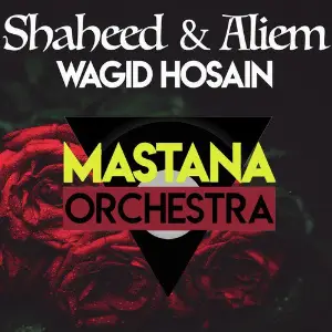 Shaheed  Aliem image