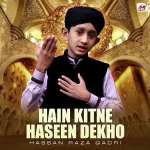 Hain Kitne Haseen Dekho - Single image