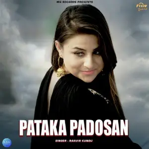Pataka Padosan - Single image