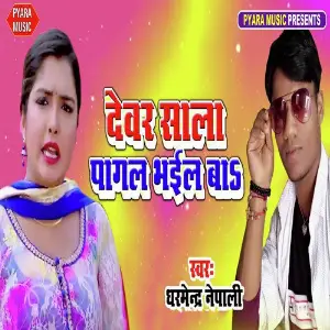 Devar Sala Pagal Bhail Ba image