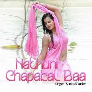 Nathuni Chapakal Baa image