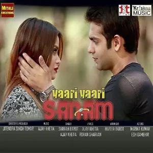 Vaari Vaari Sanam image