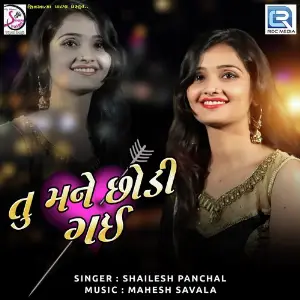 Tu Mane Chhodi Gai image