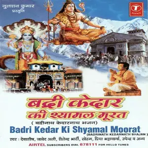 Badri Kedar Ki Shyamal Murat image