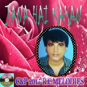 Jana Hai Kahan image
